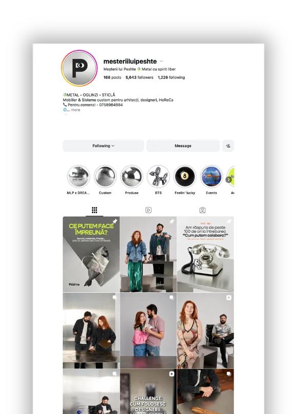 Meșterii lui Pește Instagram