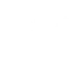 Robert Eisler